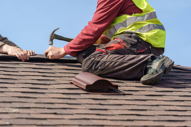 Best Roof Maintenance Services  in Sunflower, MS
