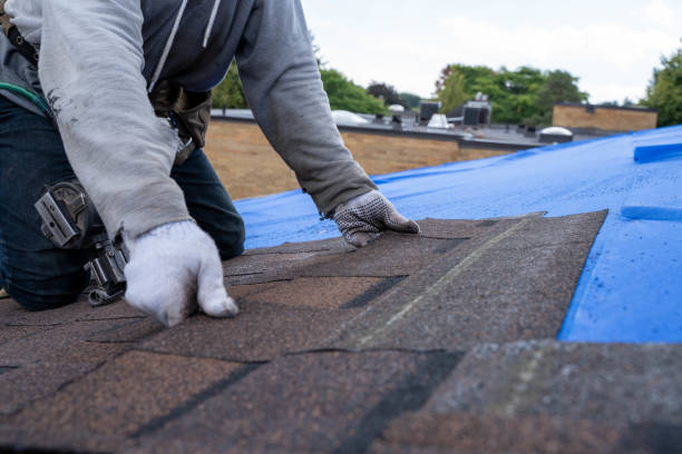 Professional Roofing Contractor in Sunflower, MS
